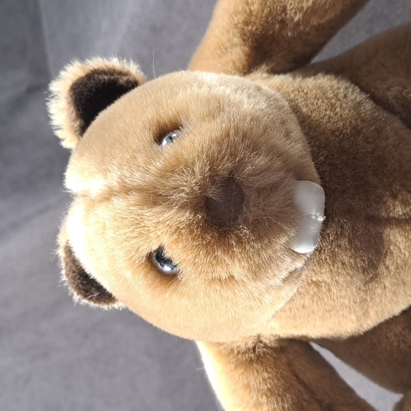 Vintage Gund 5768 Eager The Beaver Plush Stuffed Animal 8" VG+ 1985 - Picture 3 of 7